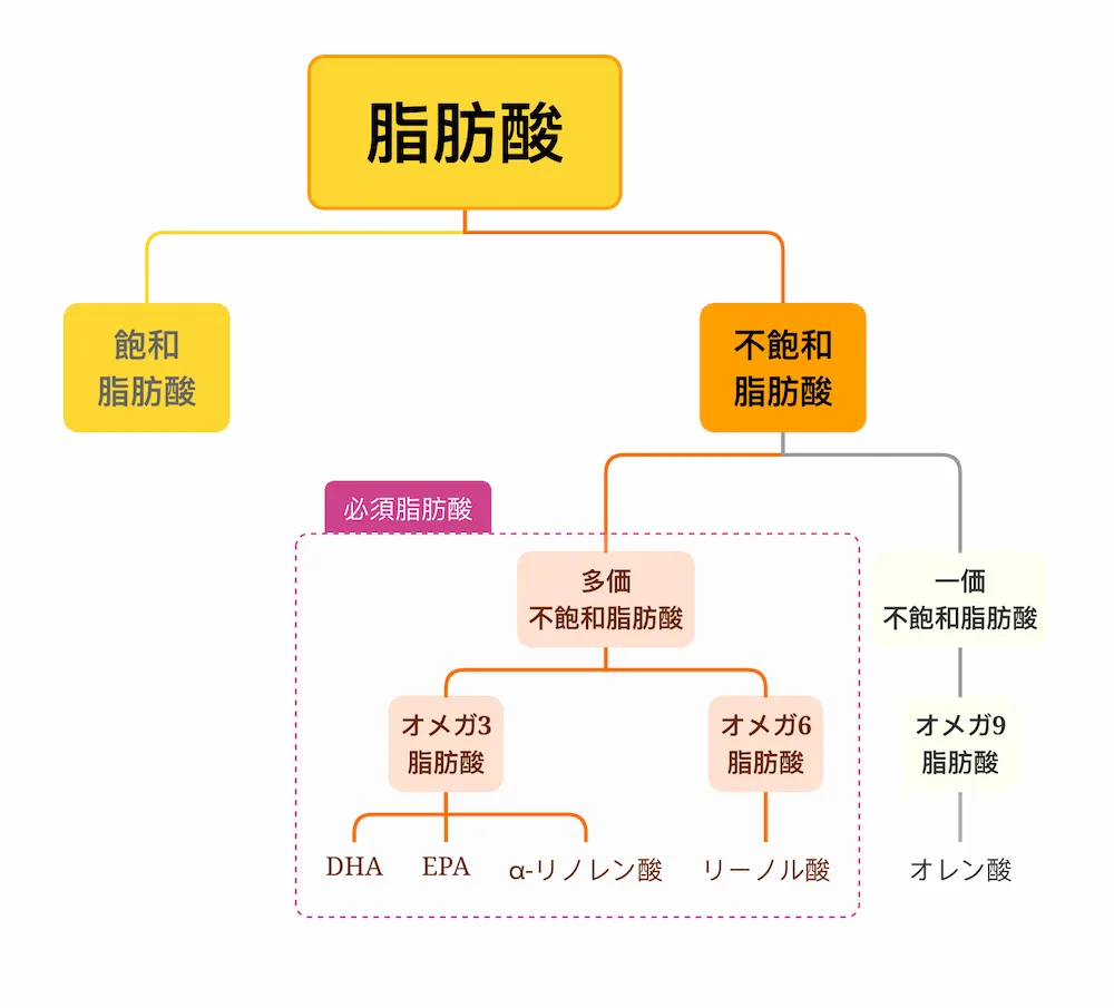 脂肪酸